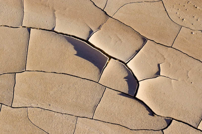 Cracks In Mud